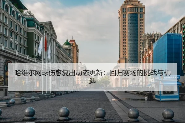 哈维尔网球伤愈复出动态更新：回归赛场的挑战与机遇