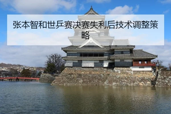 张本智和世乒赛决赛失利后技术调整策略